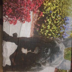 Yigal Azrouel French Bulldog Scarf